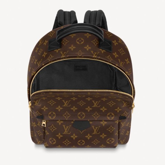 PALM SPRINGS MM Louis Vuitton Backpack - Picture 4 of 6